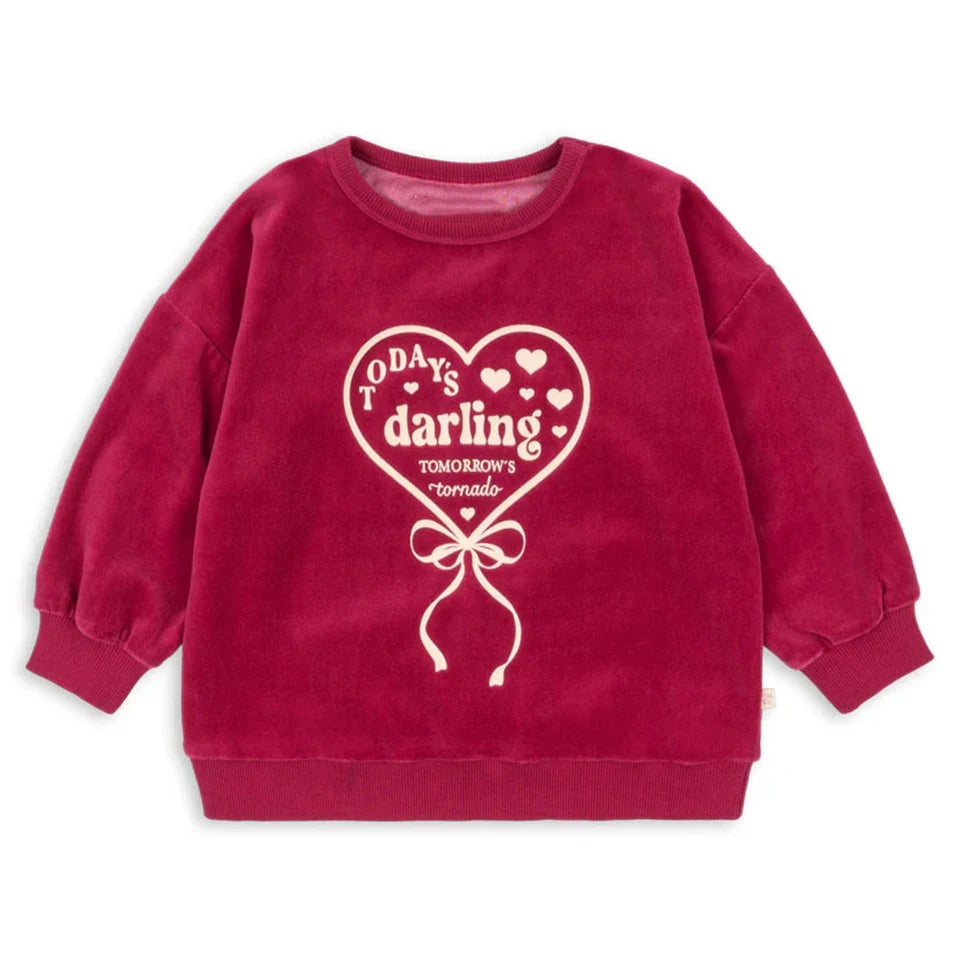 2025 KS Winter Christmas Kids Clothes Girls Velvet Dresses Printed Sweatshirts+Pants Sets Baby Boy Casual Pullover Trousers Suit